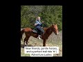A beautiful day on the trail with Adventure Ladies 🐎