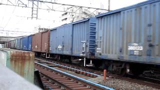 東海道の貨物　2008　専用貨物3461レ　EF65 1000（JR貨物塗装）　3　戸塚駅