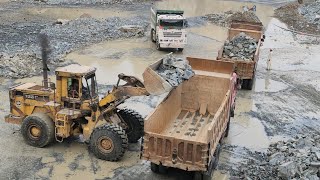 Caterpillar 966D Wheel Loader | Big Rock Loading into Dump Trucks & Trolleys | Heavy Duty Mining