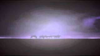 Animash ~ New divide