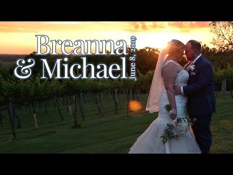 I Couldn't Imagine My Life Without You Breanna Michael Wedding