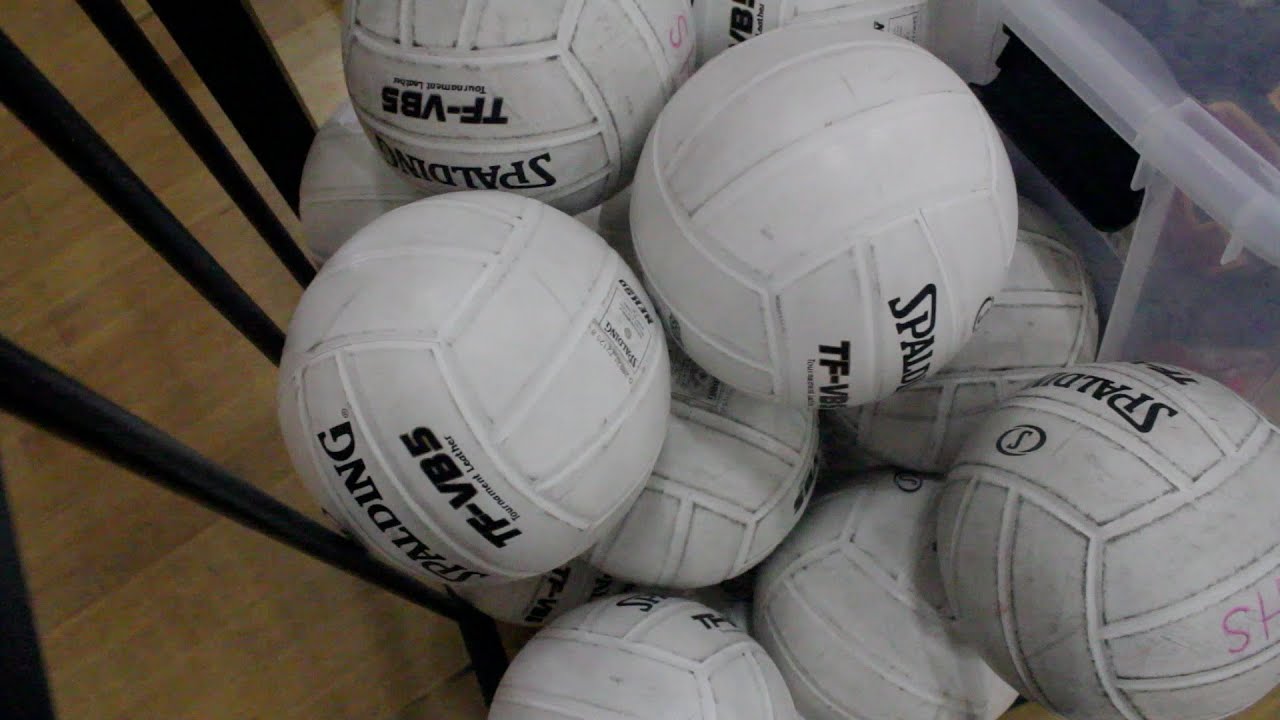 Dominguez High School Girls' Volleyball Team