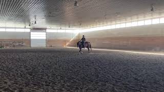 Hey Charlie - Bareback Flatwork
