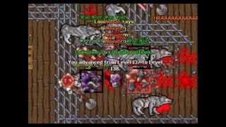 [Tibia] Looch Elva - Olympa/Refugia