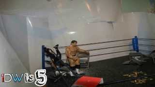 1Dw 5Th Annaversary Lightube Doublestomp Hd