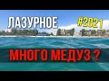 Лазурное 2021. Прозрачность моря в Лазурном. Много Медуз ?