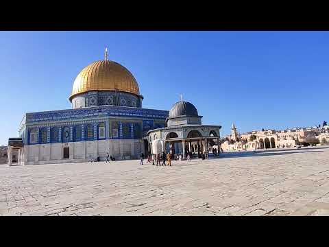 إطعام الطيور داخل ساحات المسجد الأقصى المبارك