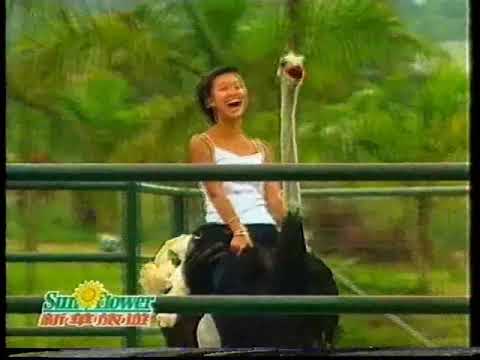 2000 商業廣告 新華旅遊