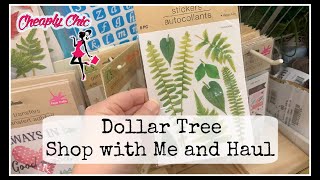 Dollar Tree SHOP WITH ME and HAUL - Also a little Hurricane Ian Update