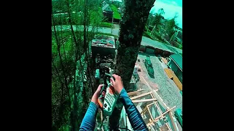 Monster Stump Destroyer Excavator/Dangerous Big Chainsaw Cutting Tree machines #shorts