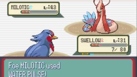 Pokemon Ruby Gym Leader 8