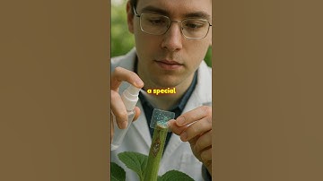 Healing Plants: The Bacteria-Based Band-Aid Revolutionizing Agriculture #shorts