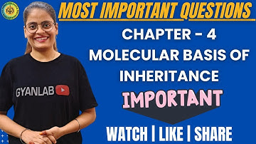 🔴Biology Most Important Questions | HSC Board | Chapter 4 Molecular Basis of Inheritance  | Gyanlab