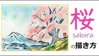 水彩画　桜　さくら　春　美術　アート　インテリア　絵画　ホワイトワトソン紙 Watercolor demonstration | Sakura (Cherry blossom) 水彩画