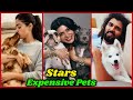 South Indian Stars and Their Cute Pets | Samantha Ruth Prabhu, Allu Arjun, Rashmika Mandanna