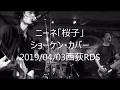 ニーネ 桜子 ショーケン 萩原健一 カバー 2019 04 03西荻RDS