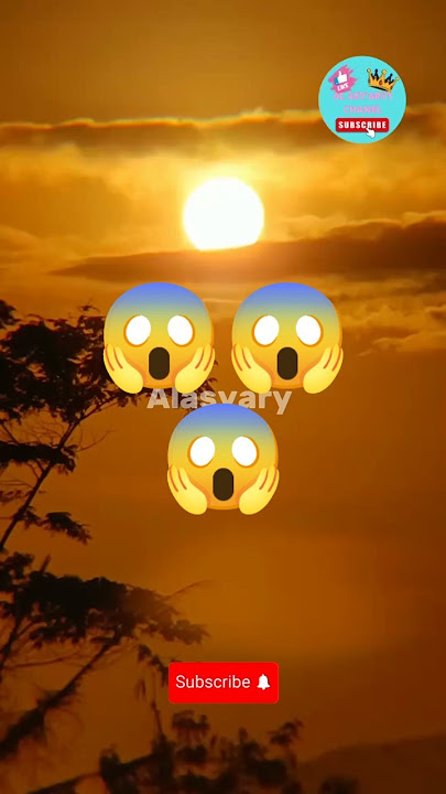 🔥 “Fakta Mengejutkan Hutan Amazon yang Belum Pernah Kamu Dengar!”#FYP#ViralVideo#MisteriDunia#viral