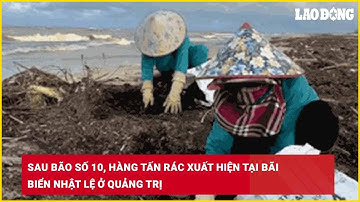 Sau bão số 10, hàng tấn rác xuất hiện tại bãi biển Nhật Lệ ở Quảng Trị| Báo Lao Động