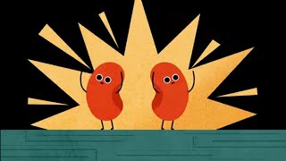 Uliwoo動態設計 - 