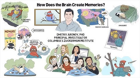 How an Incredible Memory Helps Birds Survive the Winter