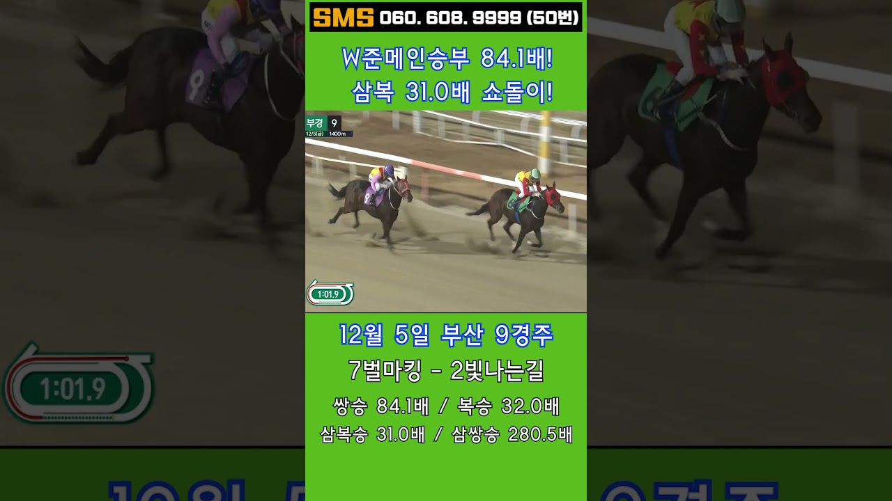 12/5(금)💣84.1배! 7벌마킹! 니가 대가리다! 쌍.복.삼복 쇼돌이 믿어지십니까? 이런게 한구라입니다. 🐎 인기1위에 쫄지마!