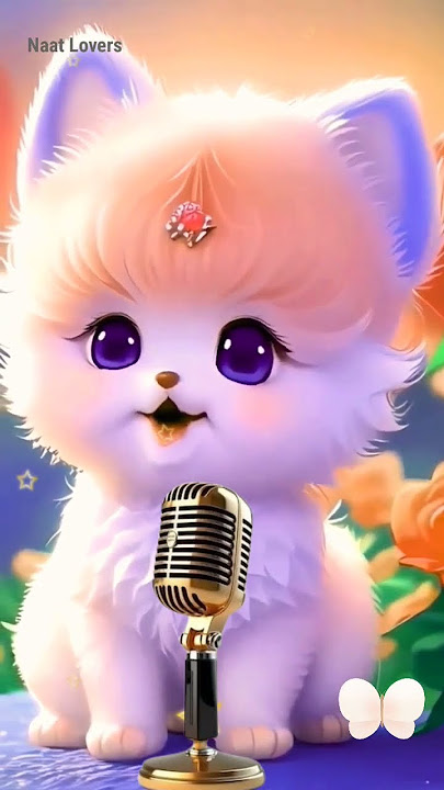 Allah hi Allah Kiya karo🕋 #cat #naatsharif #cute Billi😺 #naat #ytb #viral #video