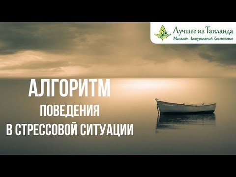 Алгоритм Поведения в СТРЕССОВЫХ СИТУАЦИЯХ от Алики Юрченко