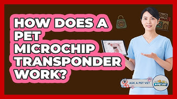 How Does A Pet Microchip Transponder Work? - Ask A Pet Vet