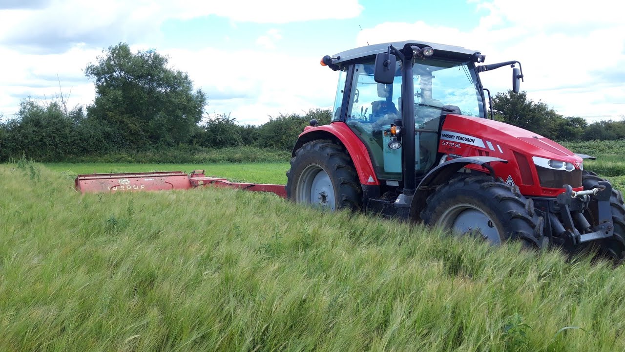 Mowing the pea and barley silage. YouTube