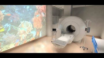 Projection Animation