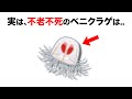 【面白】あなたの命に関する雑学③【有益】