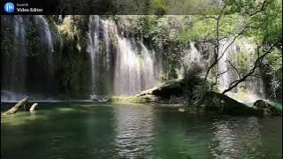 'Green River' 1969 by John Fogerty, Creedence Clearwater Revival (CCR), Alabama 1982,