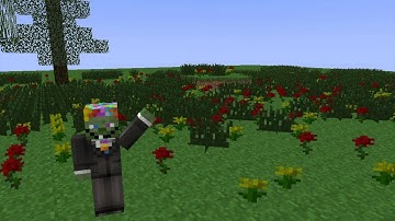 TechTrep.com - Minecraft Modding 1.8 with Java Course - Zombie