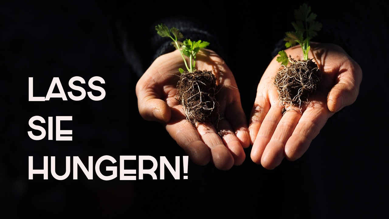 Warum deine Keimlinge hungern MÜSSEN (Das Geheimnis extremer Wurzeln)
