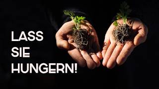 Warum deine Keimlinge hungern MÜSSEN (Das Geheimnis extremer Wurzeln)