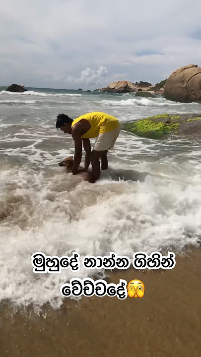 බැලැක් සි නානවා🏖 #shortstrending #shortvideo #shorts