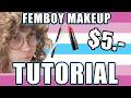 EXTREMELY Low Budget Femboy Make Up Look