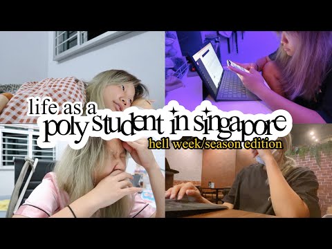 Life as a poly student in Singapore ??(hell week/season edition)