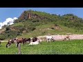 Lembranças dessa viagem_ região do morro do cavalo.