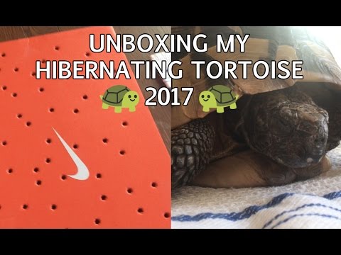 Unboxing My Hibernating