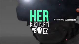 Zeytin Dalı Harekatı Şarkısı