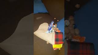 2020 Christmas Stockings