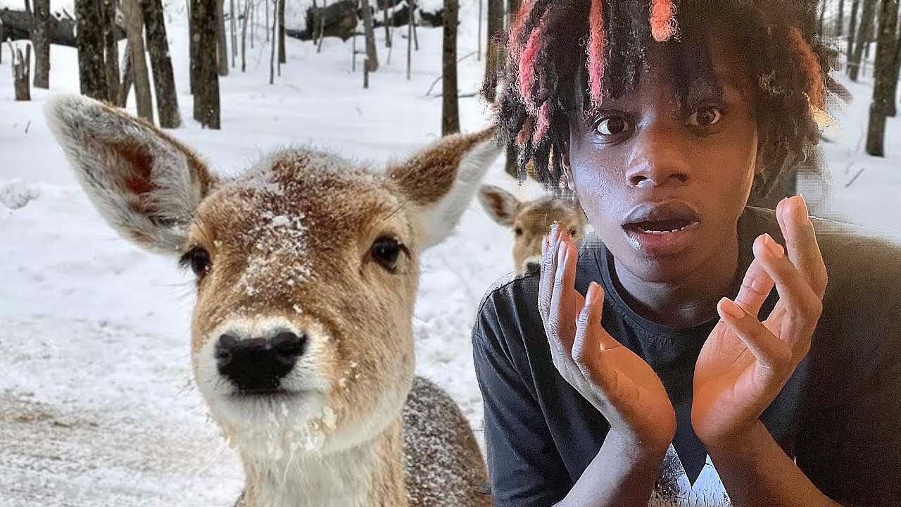 Zuro Ug Rapper Ug Rapper Makes A Beat In 10 Mins While it's Snowing... - YouTube
