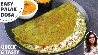 Instant & Crispy Palak Paneer Dosa Recipe with Delicious Chutney | Instant Healthy Breakfast