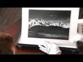 Ansel Adams Photography Concepts