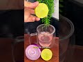 Готовим дома быстро и вкусно