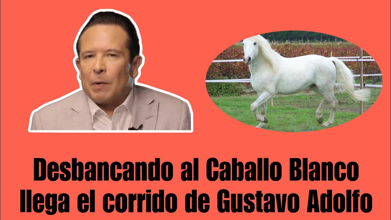 ¡Que tiemble el Caballo Blanco! Gustavo Adolfo Infante ya tiene su