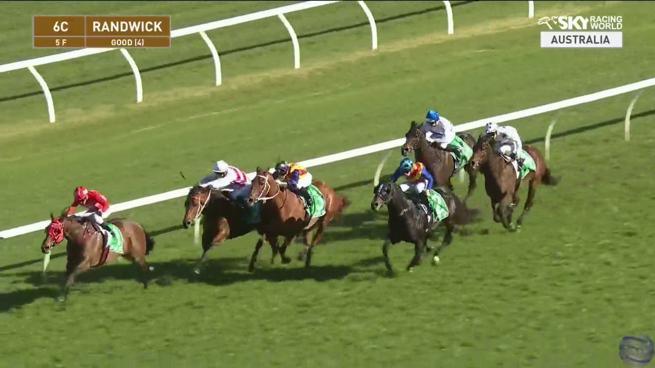 Redzel wins the Concorde Stakes June 9, 2019 at  Randwick