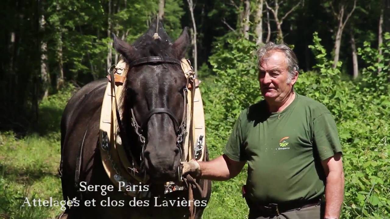 Balades au fil du Salon - Épisode 4 : Autour de la terre - Champlitte
