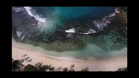 سورة الناس الشيخ فارس عباد